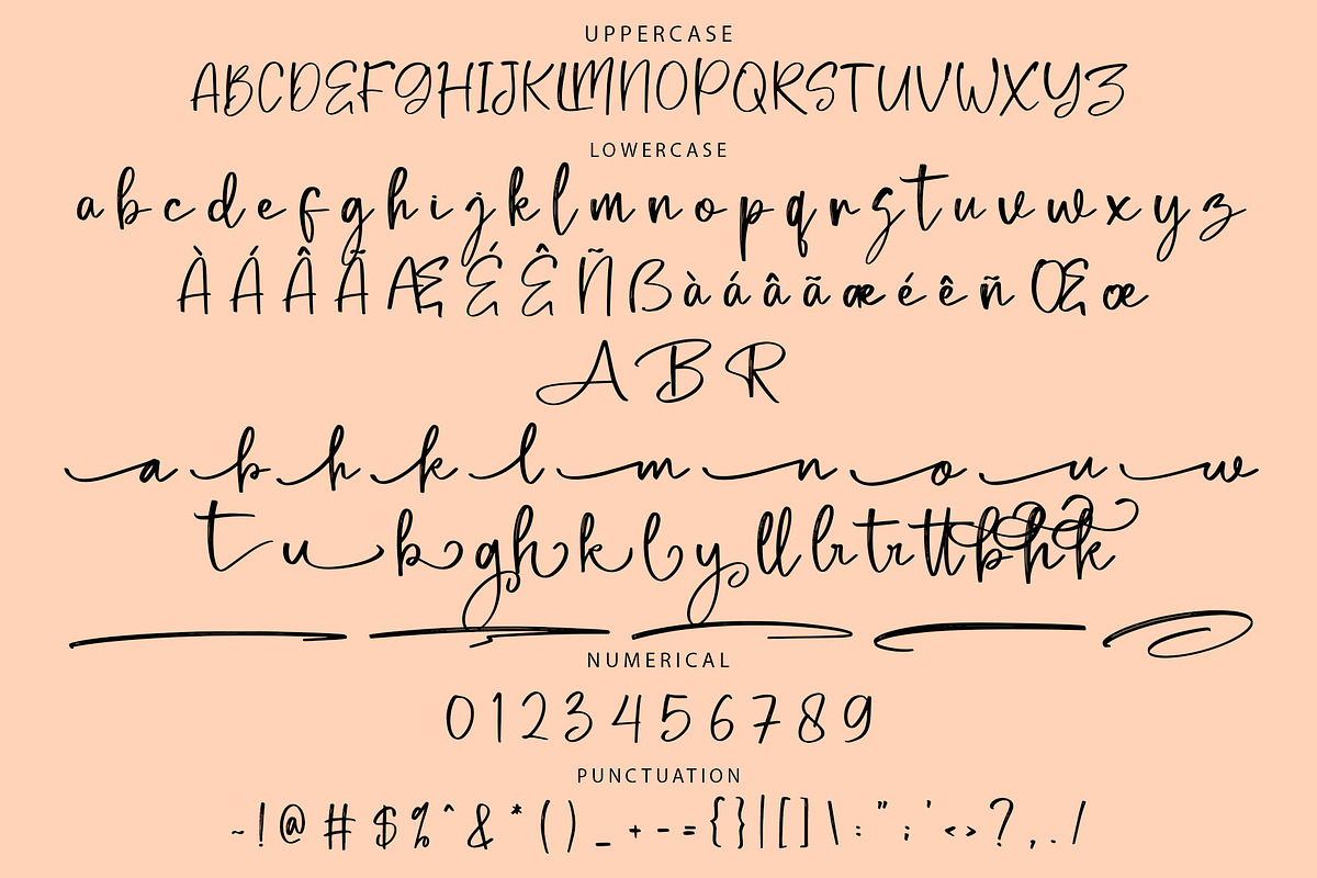 Mallyola Brush Script Font, a Script Font by NTC Graphic (Photo 7 of 8)