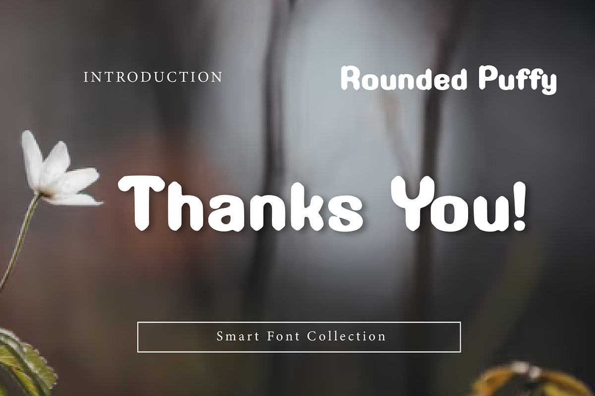 Rounded Puffy, a Slab Serif Font by Wow Magic (Photo 3 of 3)