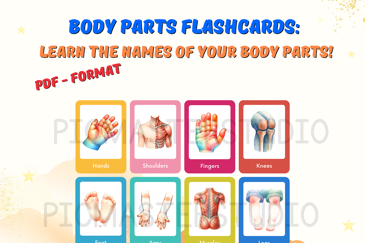 Body Parts Flashcards for Kids: A Fu, a Card Template by John_Walker (Photo 3 of 4)