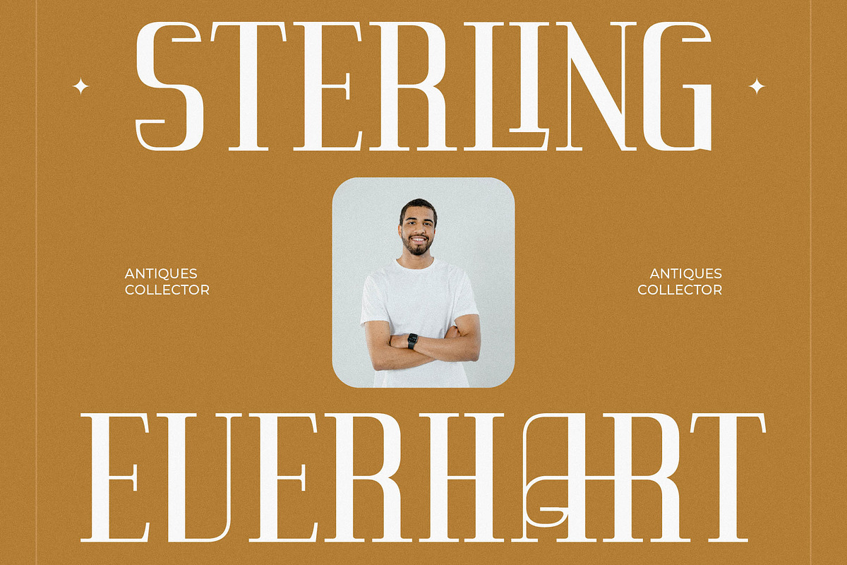 Vittorika Modern Serif Font, a Serif Font by Letterena Studios (Photo 6 of 15)