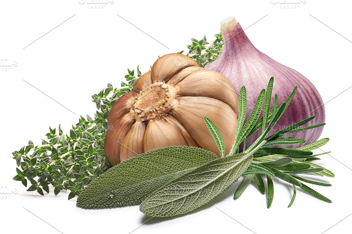 Thyme, an Object Graphic by Hortimages (Photo 3 of 3)