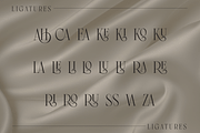 Rungless - Lingature Serif Font, a Serif Font by Luna Shop (Thumbnail 2 of 7)