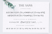 Poppit & Finch Fonts & Illustrations, a Script Font by Nicky Laatz (Thumbnail 9 of 14)