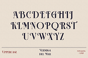 HST - Vermiga del Rose, a Serif Font by ilhamtaro (Thumbnail 6 of 10)