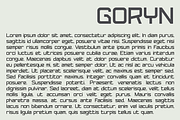 Goryn font family, a Sans Serif Font by vlad.berla (Thumbnail 6 of 7)