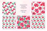 Watercolor poppies, an Illustration by TaityG (Thumbnail 3 of 7)