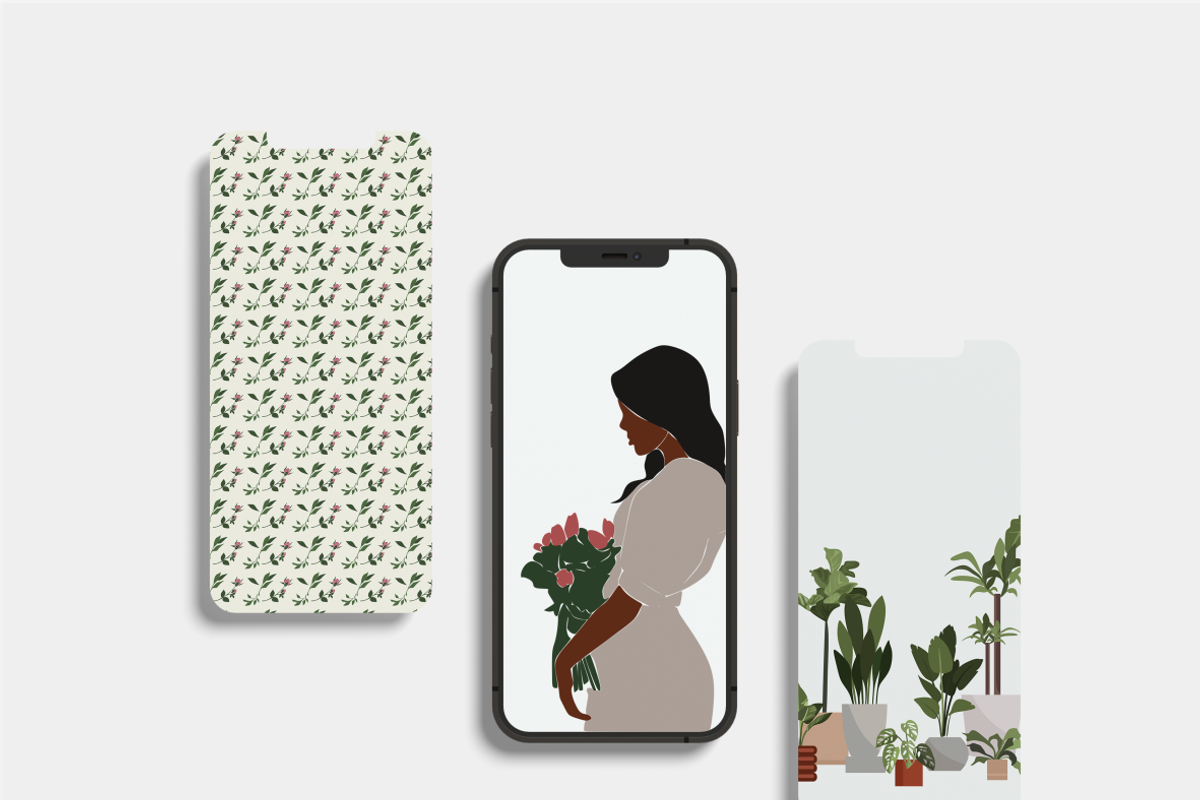 Flower collection, home plants, a Decorative Illustration by Yana_mide (Photo 6 of 10)
