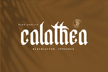 Calathea Blackletter Font