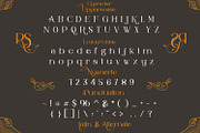 Rolls Sling, a Slab Serif Font by Bramcreative (Thumbnail 8 of 10)
