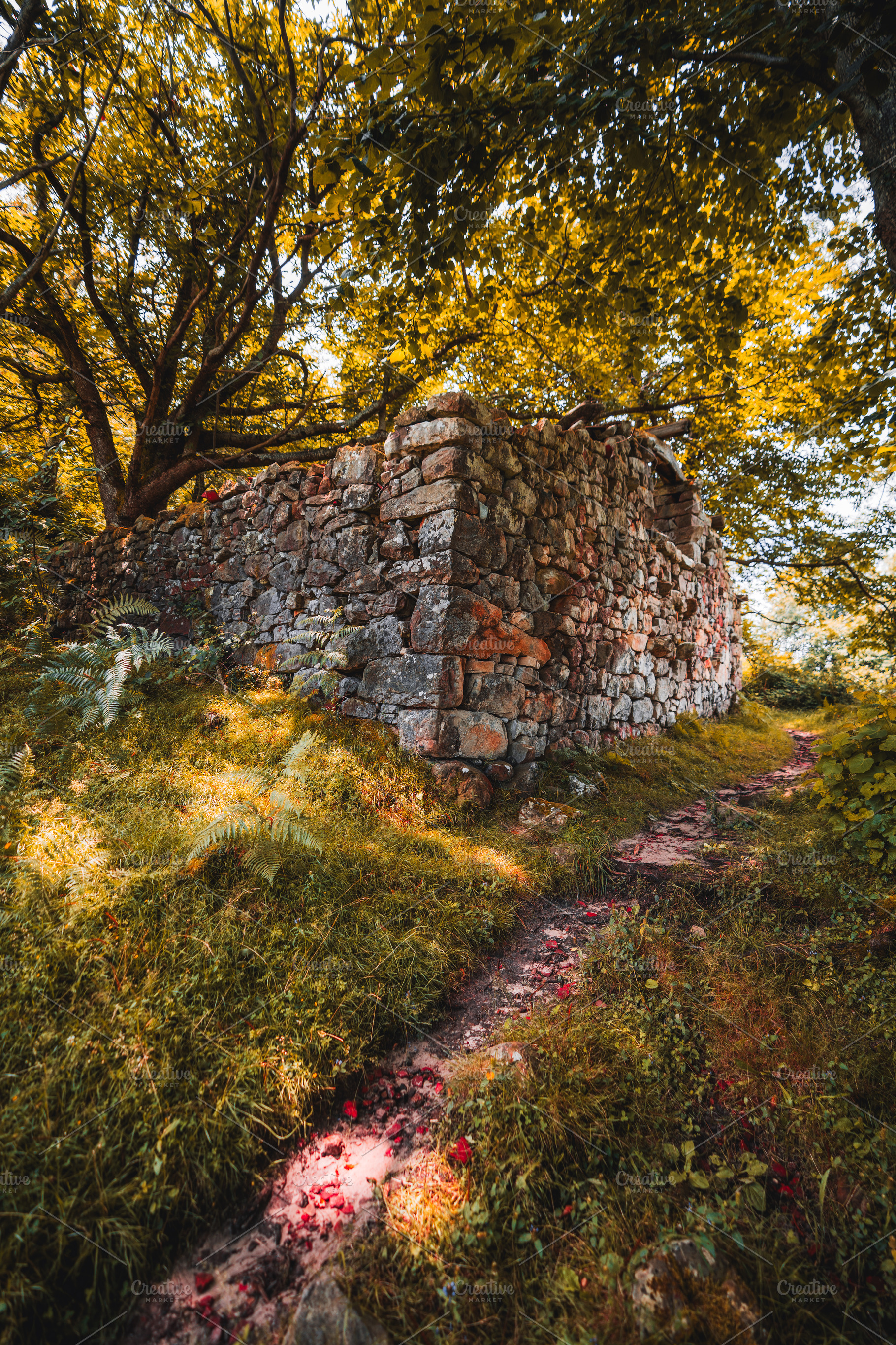 Old stone wall in autumn forest, an Architecture Photo by SkyNext