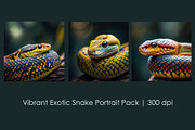 Vibrant Exotic Snake Portrait Pack, an Animal Illustration by StockVerse Creative (Thumbnail 1 of 4)