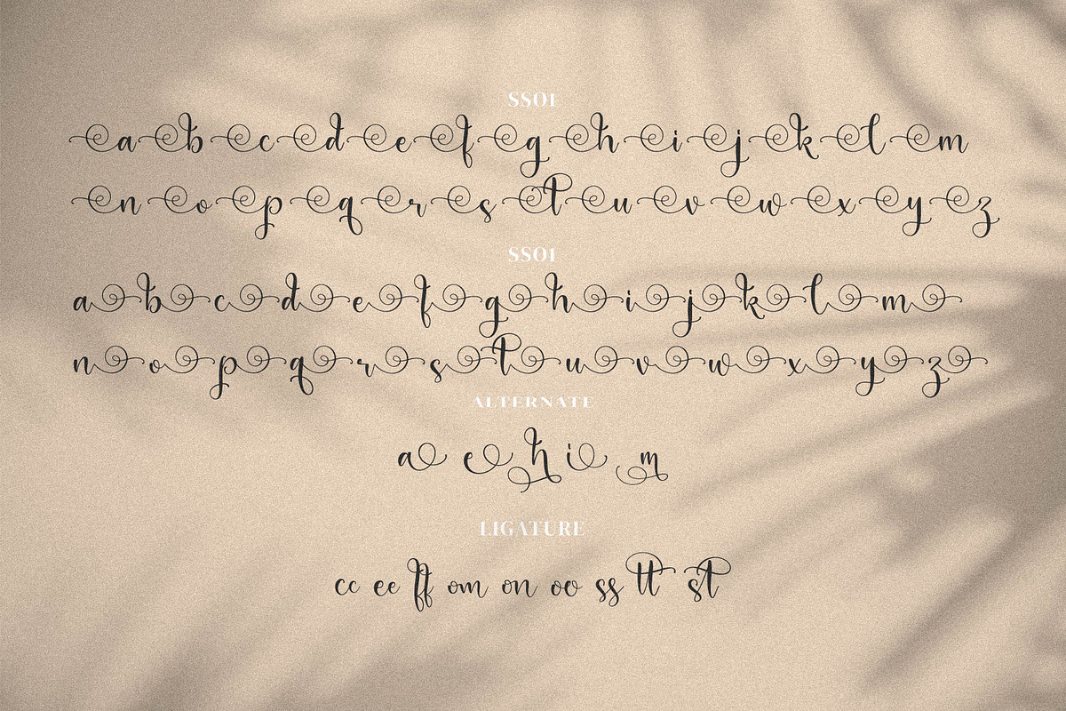 Adriana Juliewis, a Script Font by Integritype Studio (Photo 12 of 14)