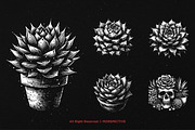 10 Bundle Dark Art Succulent Cactus, an Illustration by Morspective (Thumbnail 5 of 7)