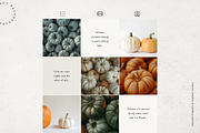 Pumpkin Perfect, a Food & Drink Photo by Lumeno (Thumbnail 2 of 5)