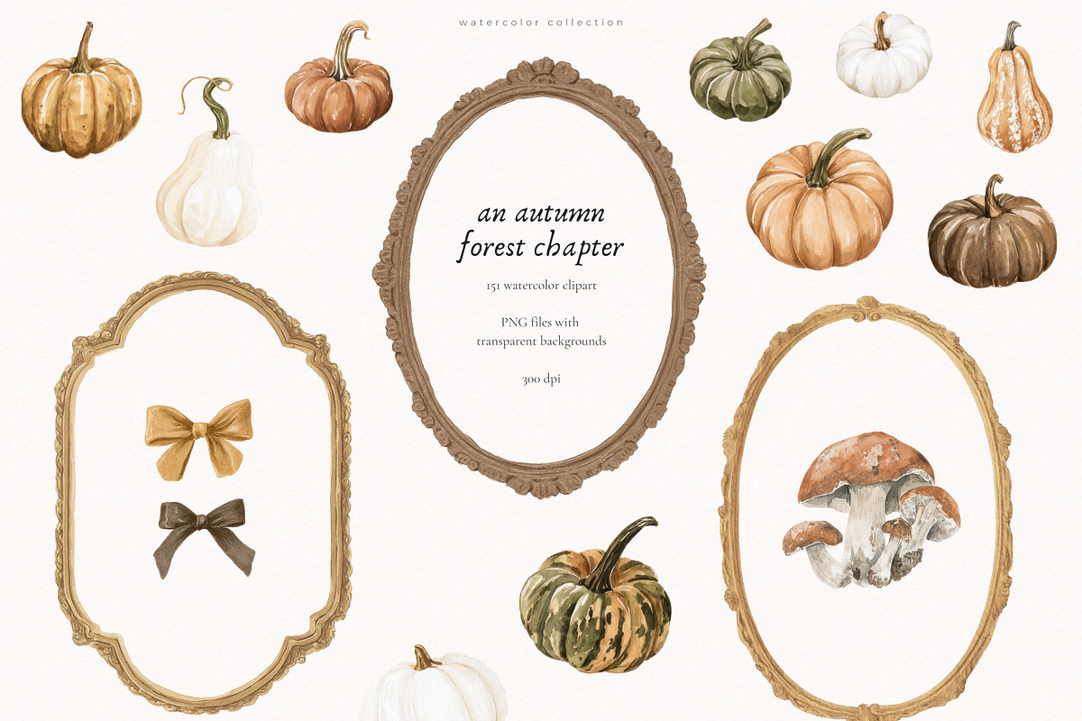 An Autumn Forest Chapter Collection, an Animal Illustration by PeDe Designs (Photo 11 of 29)