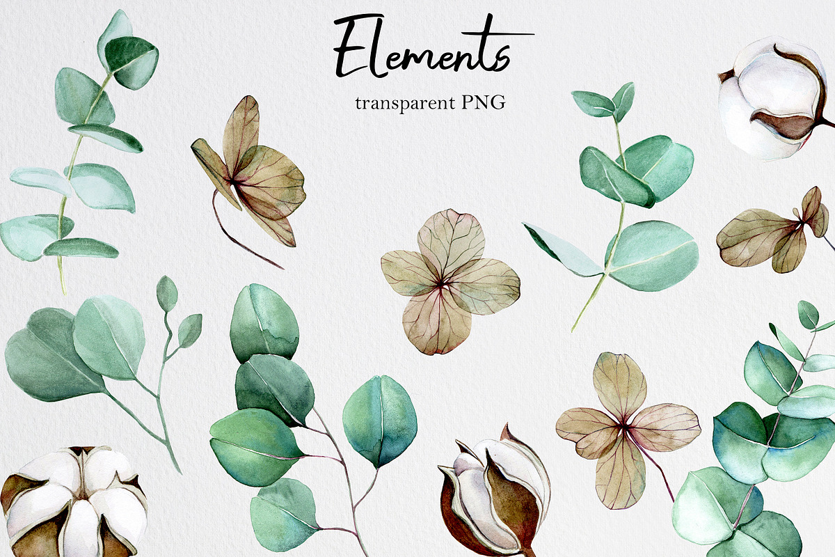 Eucalyptus and cotton, an Illustration by made by Tanya (Photo 3 of 7)