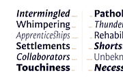 Mestiza Sans, a Sans Serif Font by Lechuga Type (Thumbnail 2 of 19)