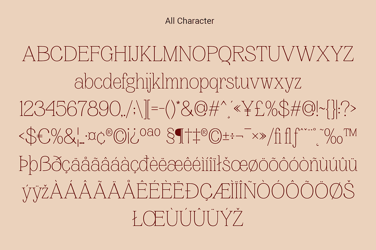Leirent – Elegant Serif, a Serif Font by Craft Supply Co. (Photo 3 of 8)