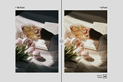 Rich Mood - Actions and Presets, an Action Add-On by Hydrozi Presets (Thumbnail 8 of 10)