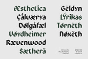 CS Waylen – Blackletter Font, a Blackletter Font by Craft Supply Co. (Thumbnail 4 of 8)
