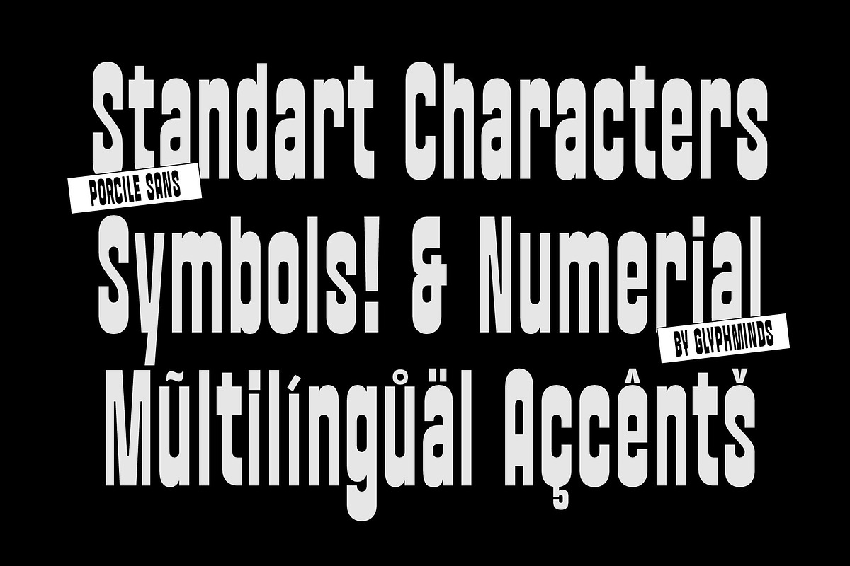 Porcile Font, a Sans Serif Font by Glyphminds Studios (Photo 2 of 10)