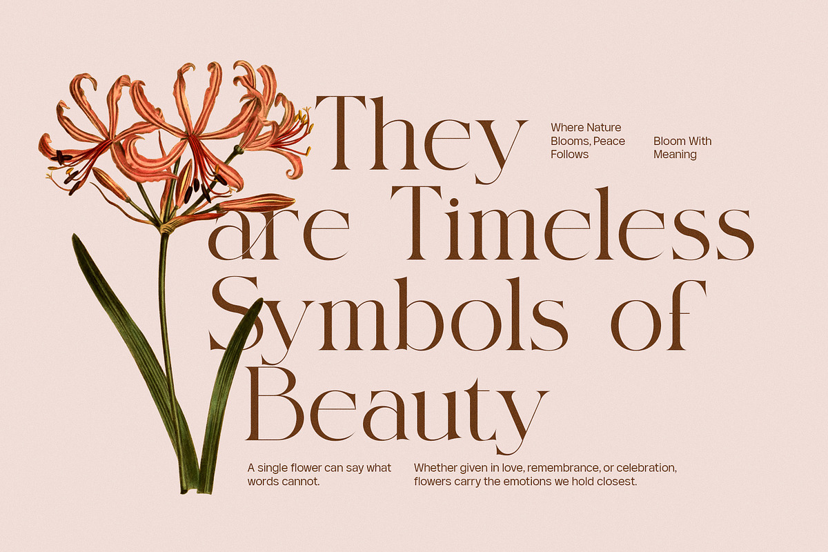 Siglera Elegant Serif Font, a Serif Font by Elegant Font (Photo 3 of 8)