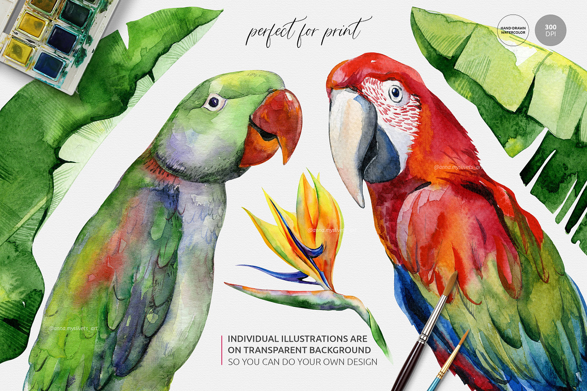 Watercolor tropics, a Pattern Graphic by Anna Myslivets Art (Photo 5 of 12)