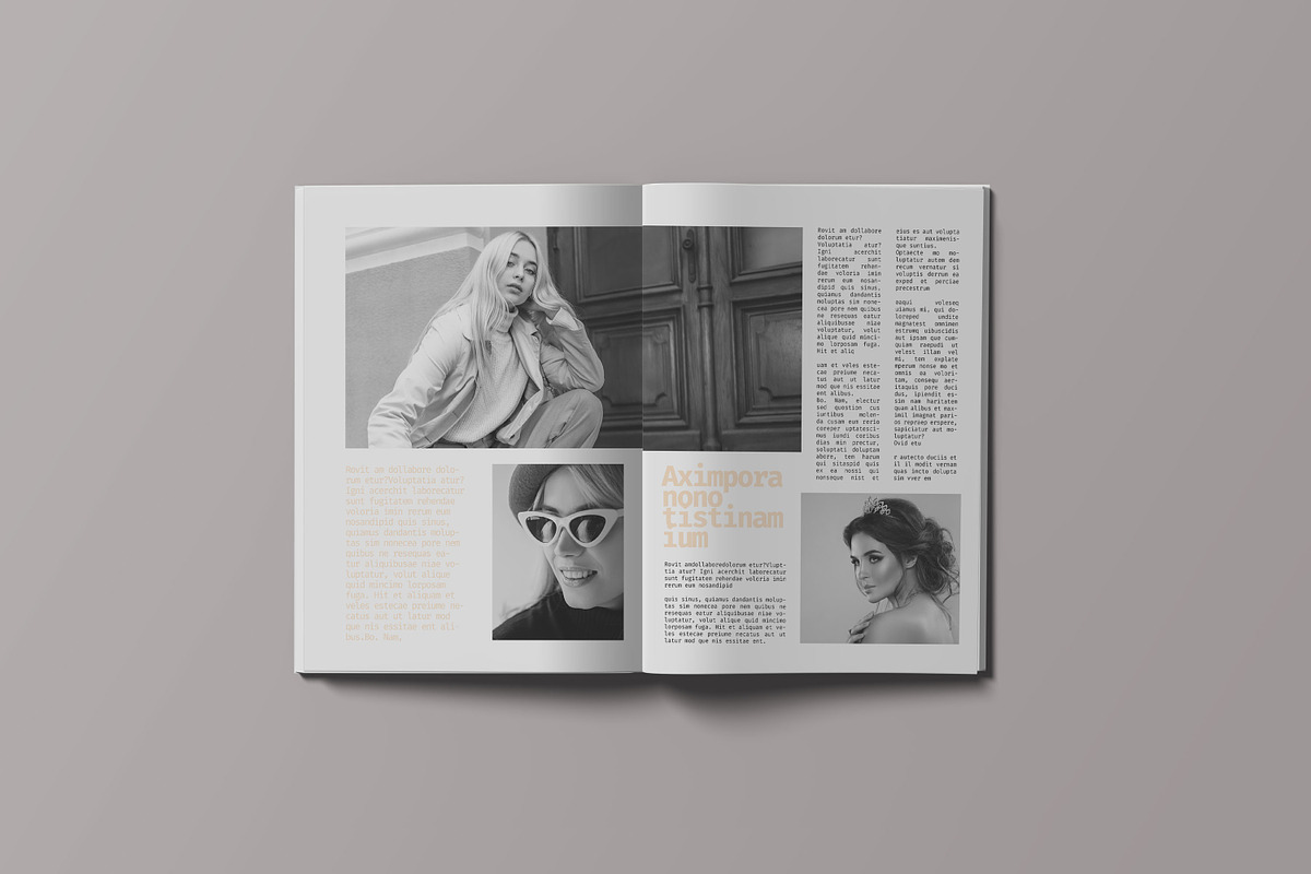 Magazine Template preview 3