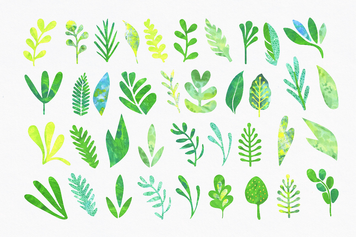 Floral Season Collage Illustrations, an Illustration by LarysaZabrotskaya (Photo 7 of 12)