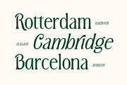 MN Triplay - Elegant Display Serif, a Serif Font by Mantra Naga (Thumbnail 4 of 15)