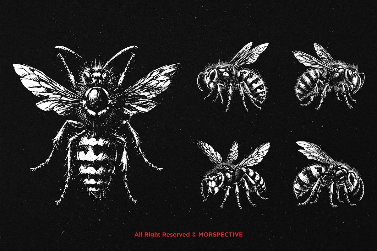 10 Bundle Dark Art Wasp Insect Skull, an Illustration by Morspective (Photo 5 of 7)