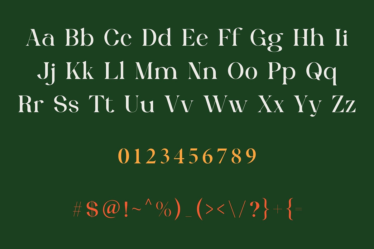Bretish - Modern Serif Typeface, a Serif Font by Font Kingdom (Photo 3 of 7)