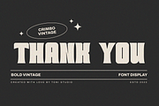 CRIMBO VINTAGE, a Symbol Font by ToniStudio (Thumbnail 10 of 10)