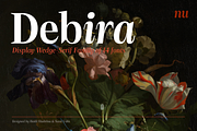 Debira — 14 Fonts, a Serif Font by Nasir Udin (Thumbnail 1 of 12)