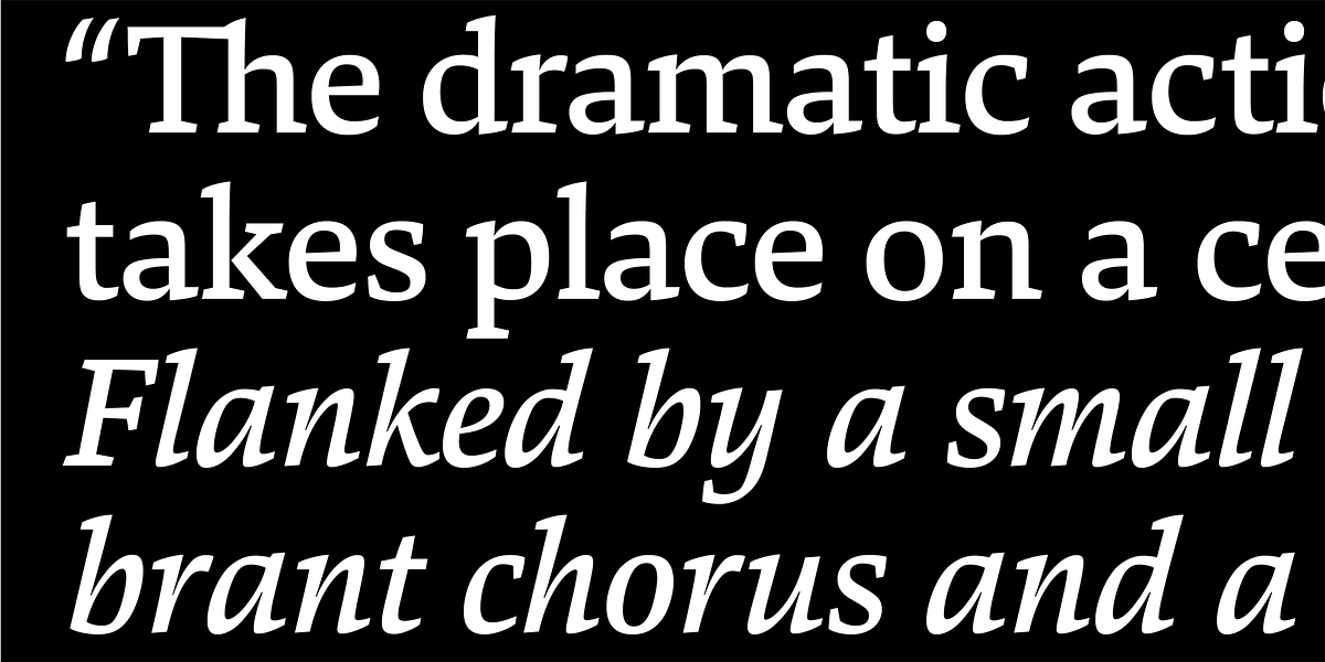 Danton, a Serif Font by Hoftype (Photo 5 of 15)