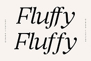 Qimano Modern Humanist Serif, a Serif Font by Letterena Studios (Thumbnail 8 of 15)