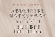 Blatherskite, a Serif Font by Rishsketch (Thumbnail 11 of 12)