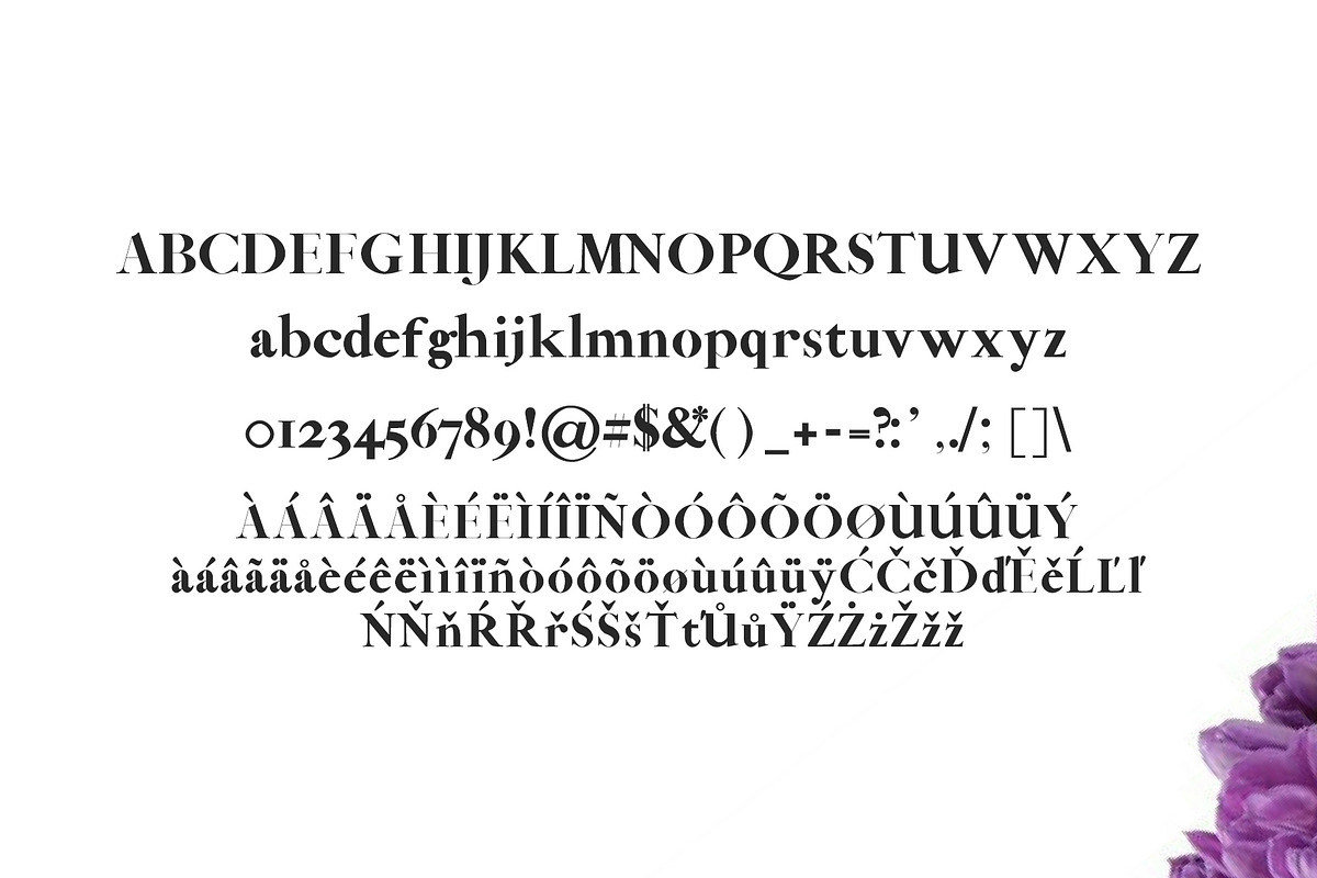 Abed Serif Font Family Pack preview 2