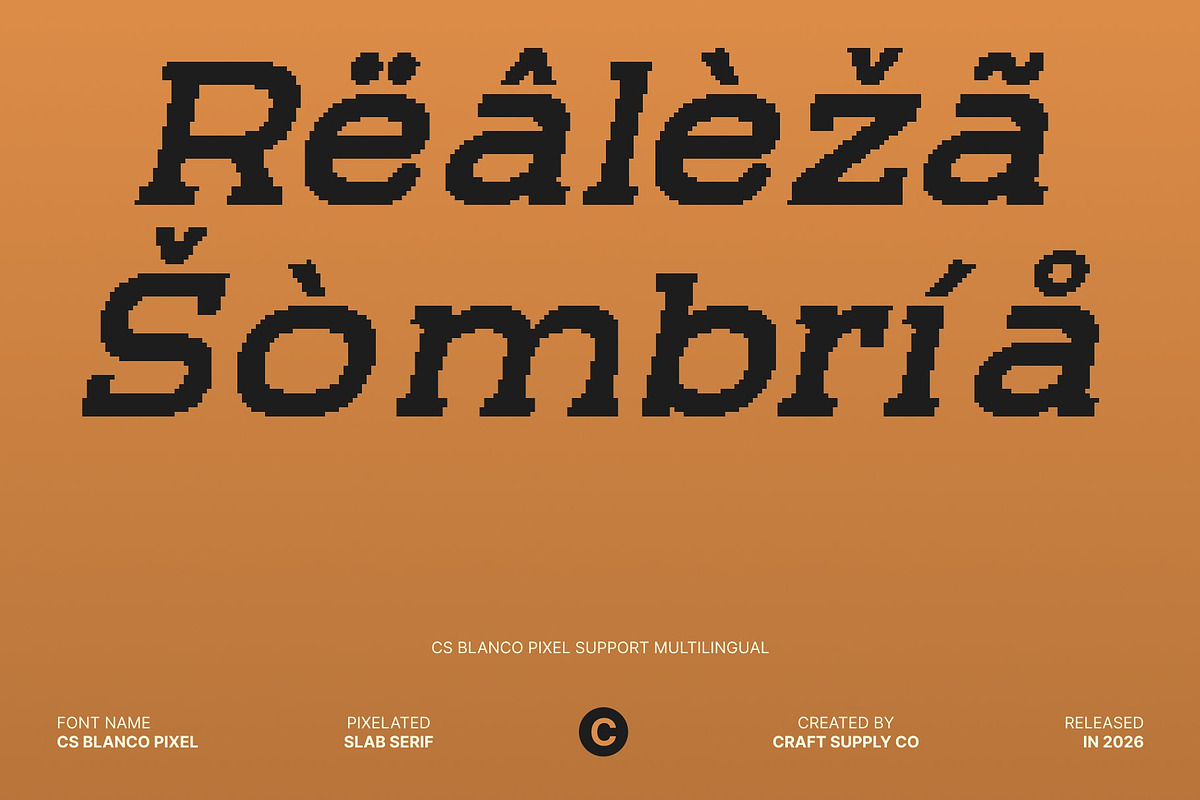 CS Blanco Pixel, a Slab Serif Font by Craft Supply Co. (Photo 5 of 8)