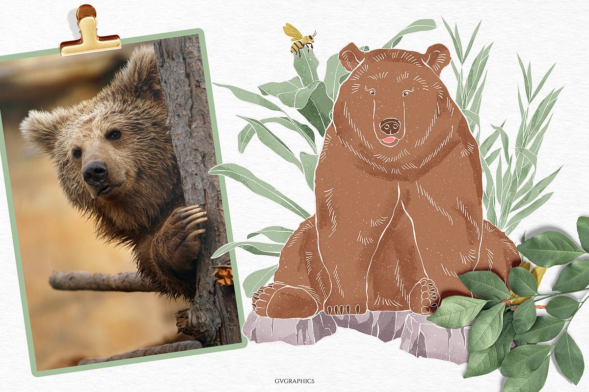 Into the Wild Collection, an Animal Illustration by GVGraphics (Photo 15 of 24)
