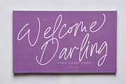 Bestnight Tropicals Ballpoint Script, a Script Font by stylishtype.co (Thumbnail 15 of 20)
