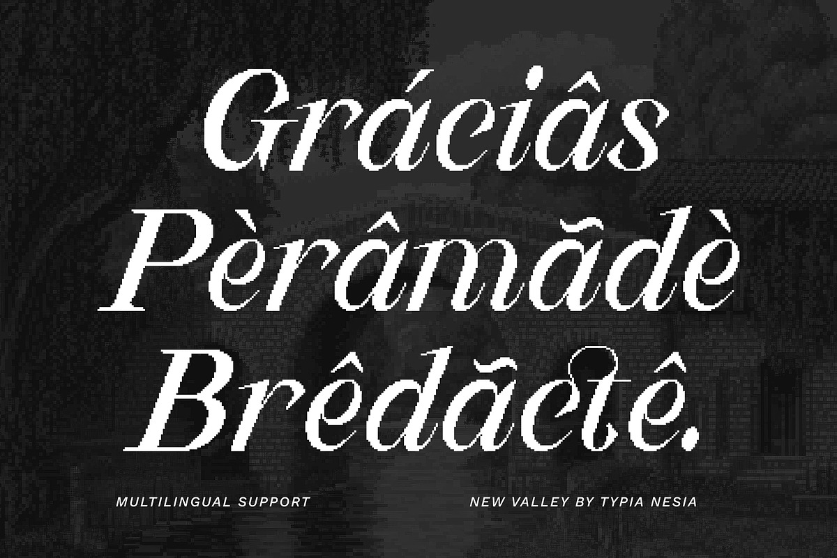 New Valley - Pixelate Italic Serif, a Serif Font by Typia Nesia (Photo 5 of 15)