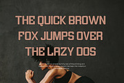 Zughenk - Modern Display Sans, a Sans Serif Font by Almeera Std (Thumbnail 4 of 6)