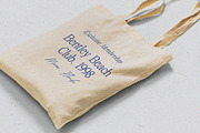 Atelier Femme // Modern Font Trio, a Serif Font by PeachCreme (Thumbnail 3 of 14)