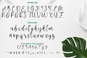 Perth Script, a Script Font by adelaide (Thumbnail 2 of 4)
