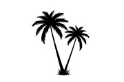 Palm Tree Vector Bundle Pack, an Illustration by Artivon (Thumbnail 19 of 20)