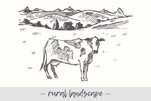 Rural Landscape And Cow