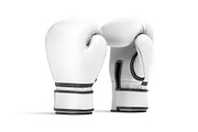 White Leather Boxing Gloves 3D Model, an Object 3D Model by rebrandy (Thumbnail 3 of 9)