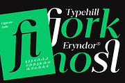 Eryndor, a Serif Font by Typehill (Thumbnail 4 of 13)