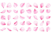Pink sakura petal collection set, an Object Illustration by Yayasya (Thumbnail 2 of 3)